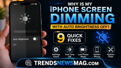 iPhone screen dimming with auto brightness off