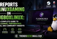 Reports PBLinuxGaming on PlugboxLinux